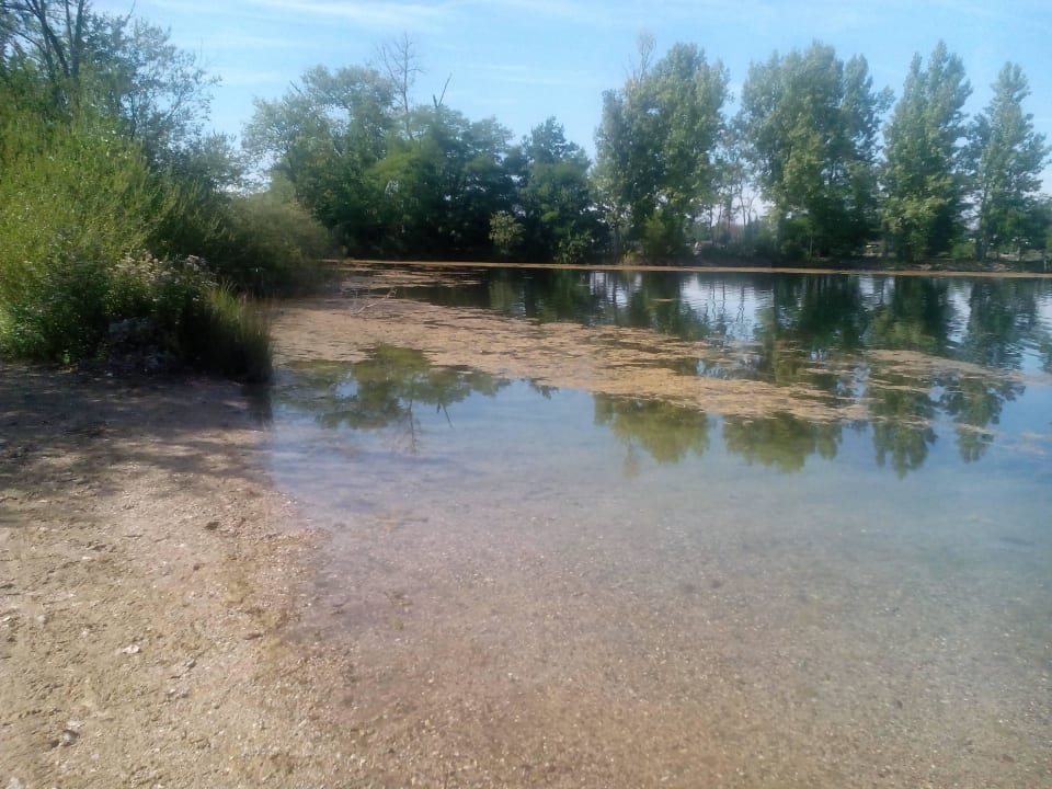 See am Campingplatz, Blaue Adria in Altrip Campingplatz Blaue Adria