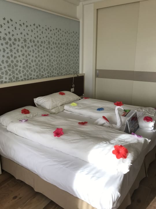 Zimmer ROBINSON SOMA BAY