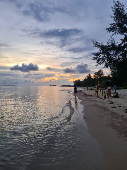 Strand SeaEsta Beach