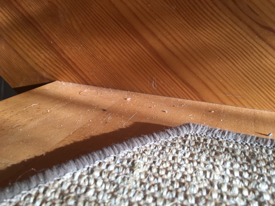 Zimmer Landhotel Borstel-Treff