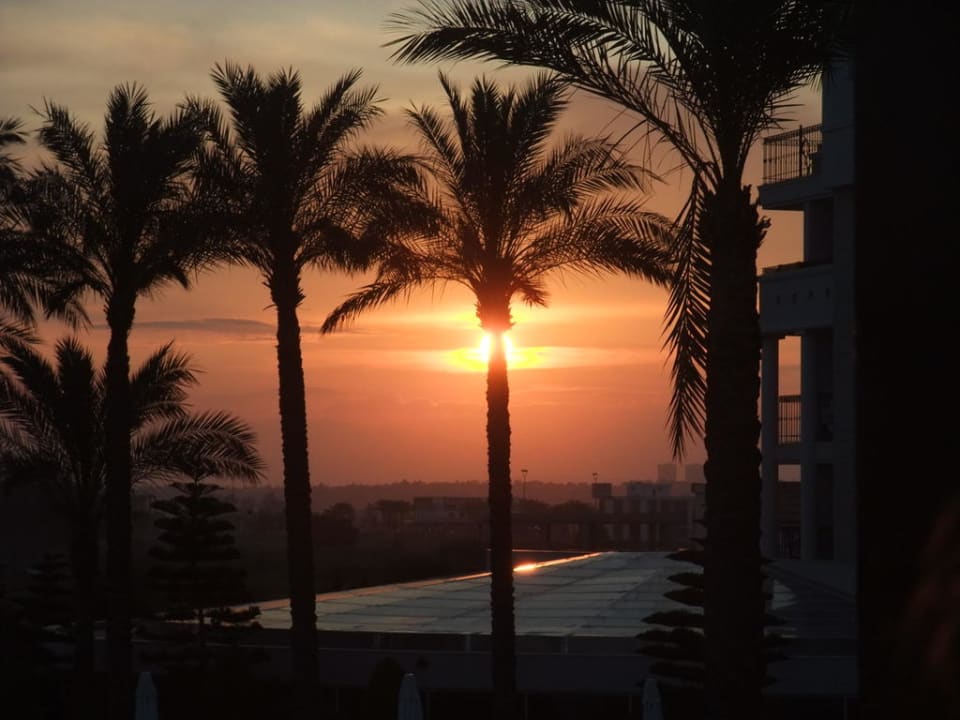 Sonnenuntergang (Restaurant-Außenbereich)  Hotel Delphin Diva