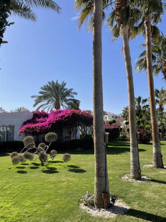 Gartenanlage Sharm Club Beach Resort