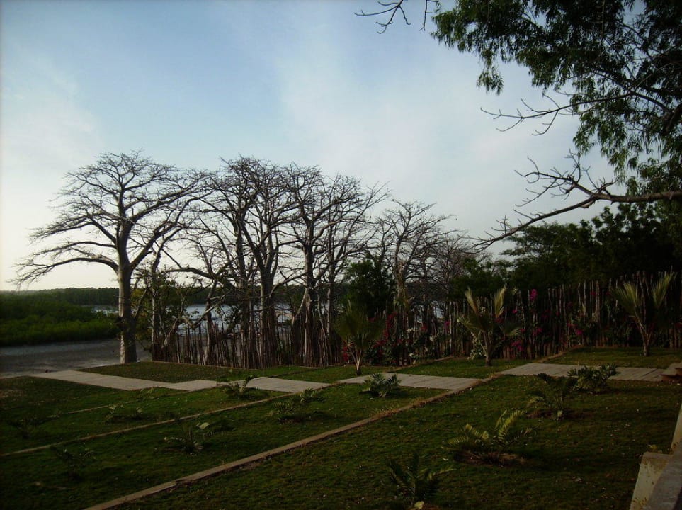 Hotelumgebung Hotel Les Palétuviers