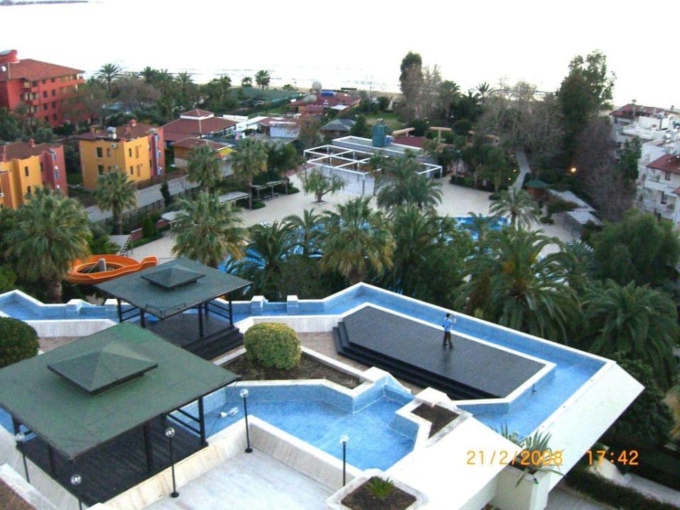 Vorsaison Side Star Elegance