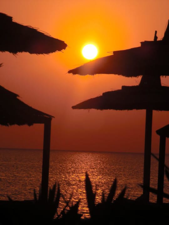 Sonnenaufgang am Strand bzw. Steg! Beach Albatros Resort