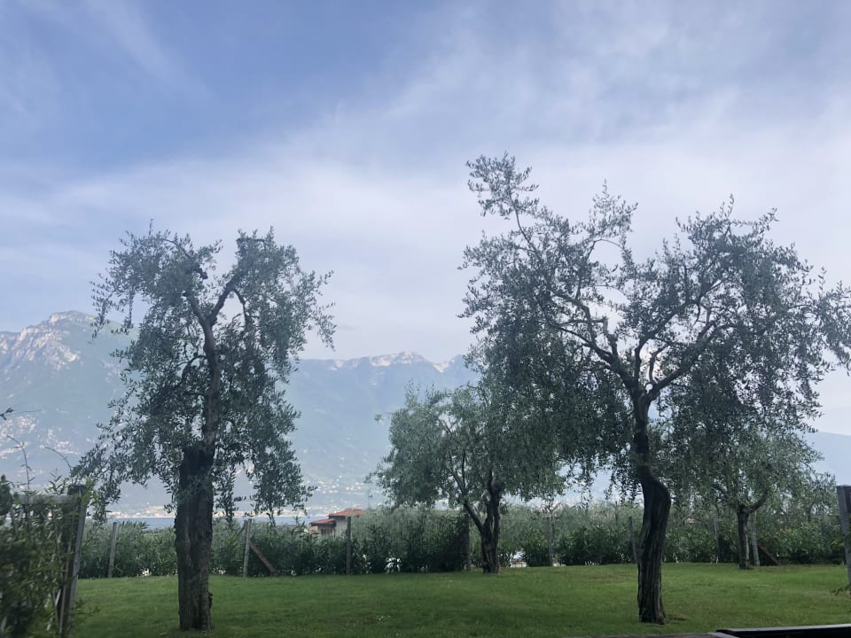 Ausblick Hotel Caravel