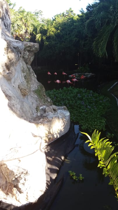 Gartenanlage Grand Palladium Kantenah Resort & Spa