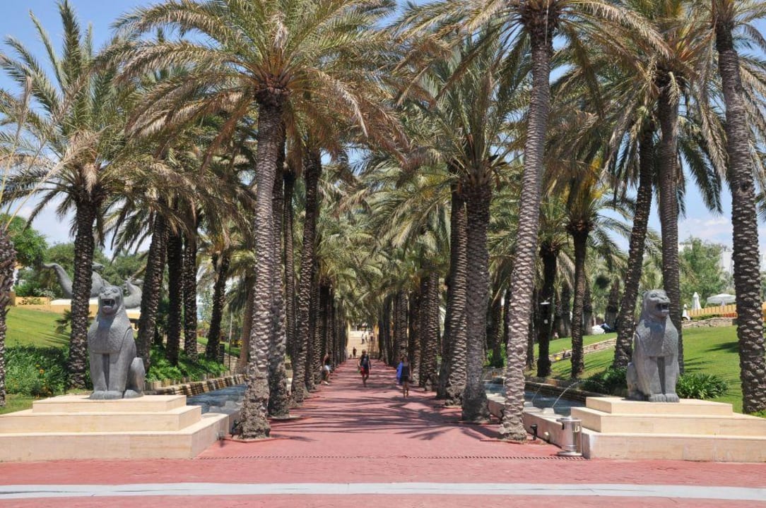 Der Weg vom Strand zum Hotel... Monachus Family Resort Sorgun