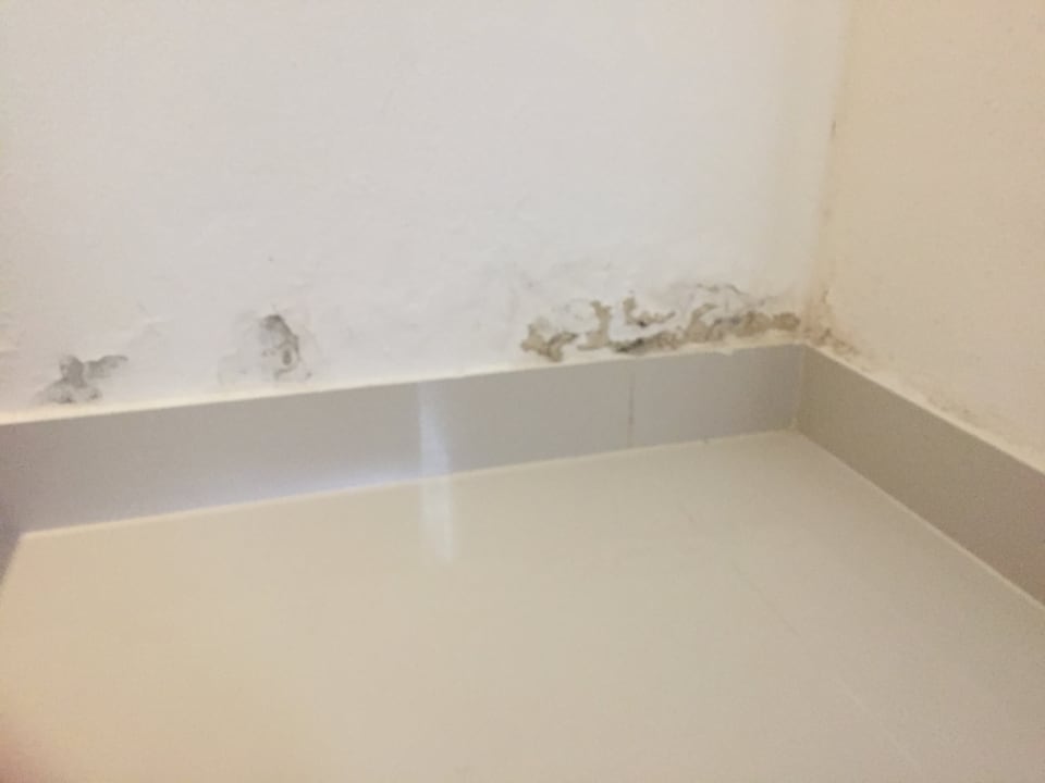 Zimmer Villas Bavaro Resort & Spa