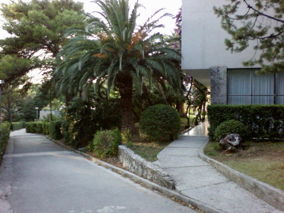 Main building roads Hotel Alem