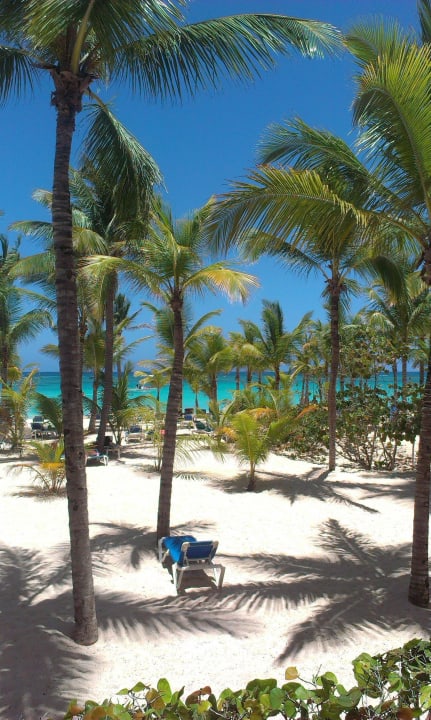 Ein Traum Hotel Riu Palace Punta Cana