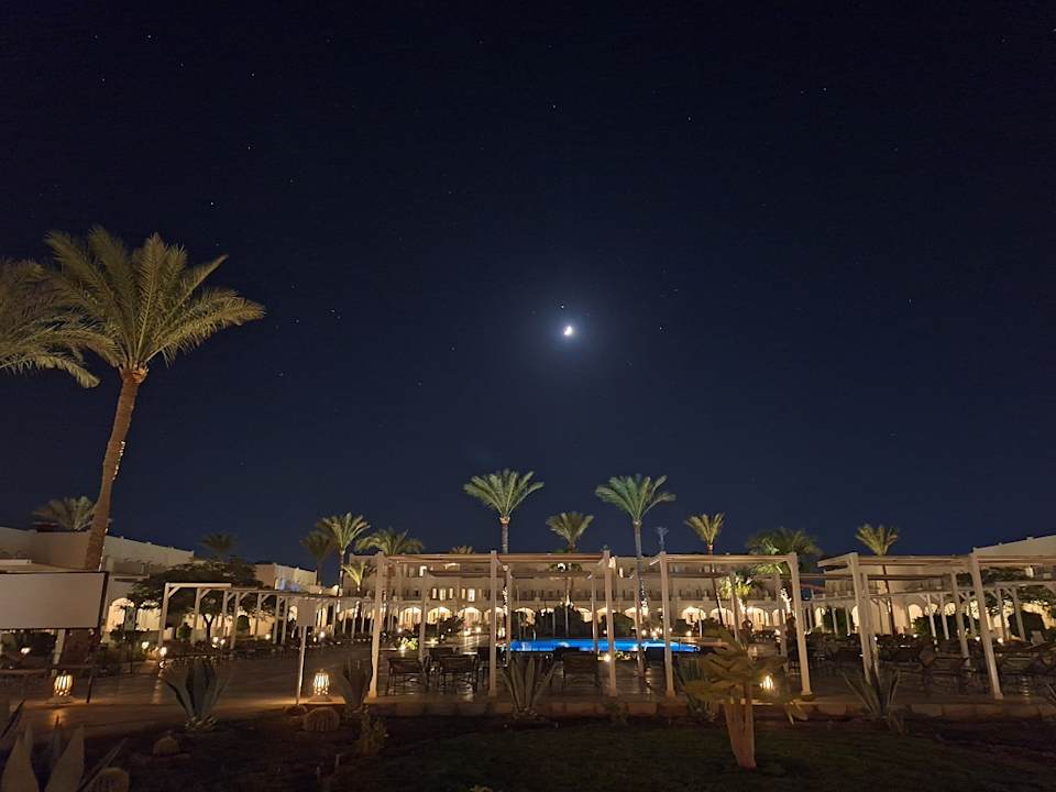 Gartenanlage JAZ Neo Reef Marsa