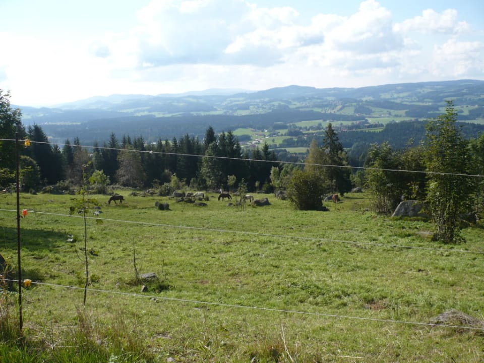Wunderschöne Umgebung Hotel Bergland-Hof