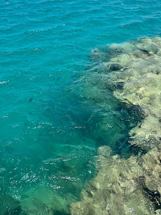 Strand SUNRISE Anjum Resort Marsa Alam