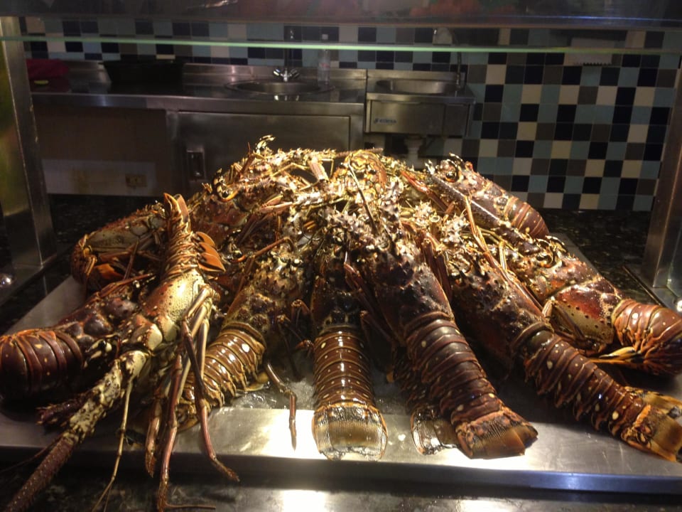 Hummer Ocean Blue & Sand