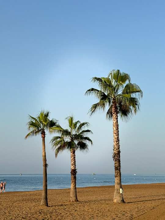 Strand Hotel Süral Resort