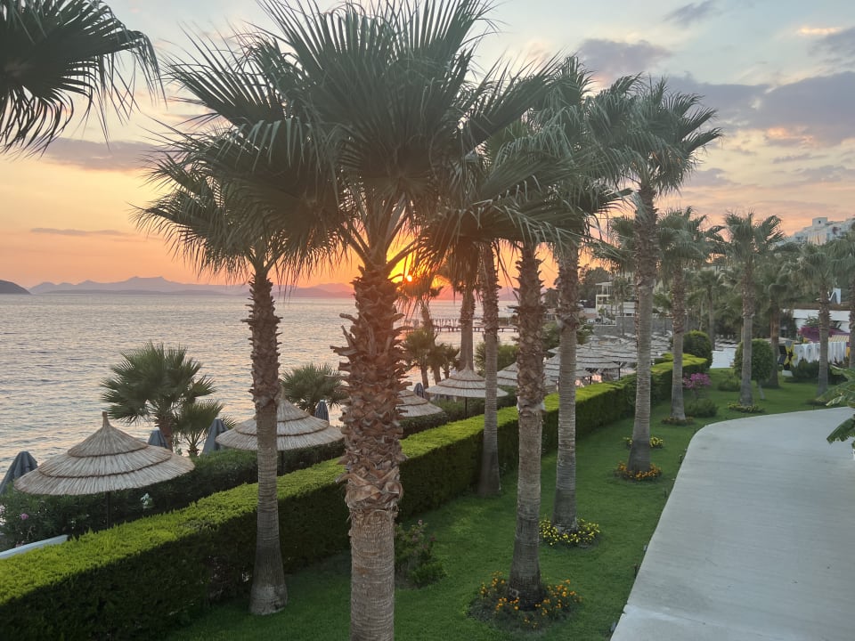 Ausblick TUI MAGIC LIFE Bodrum - Adult Only (16+)