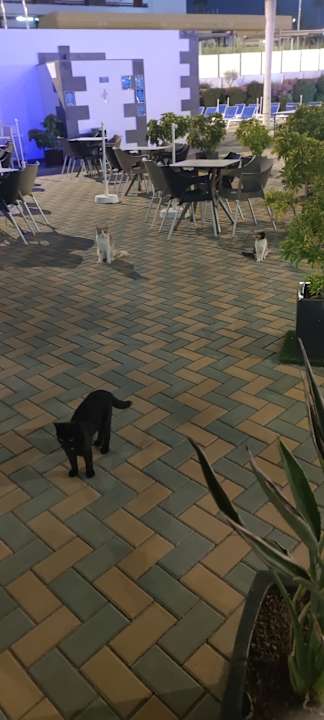 Außenansicht HL Suitehotel Playa del Ingles