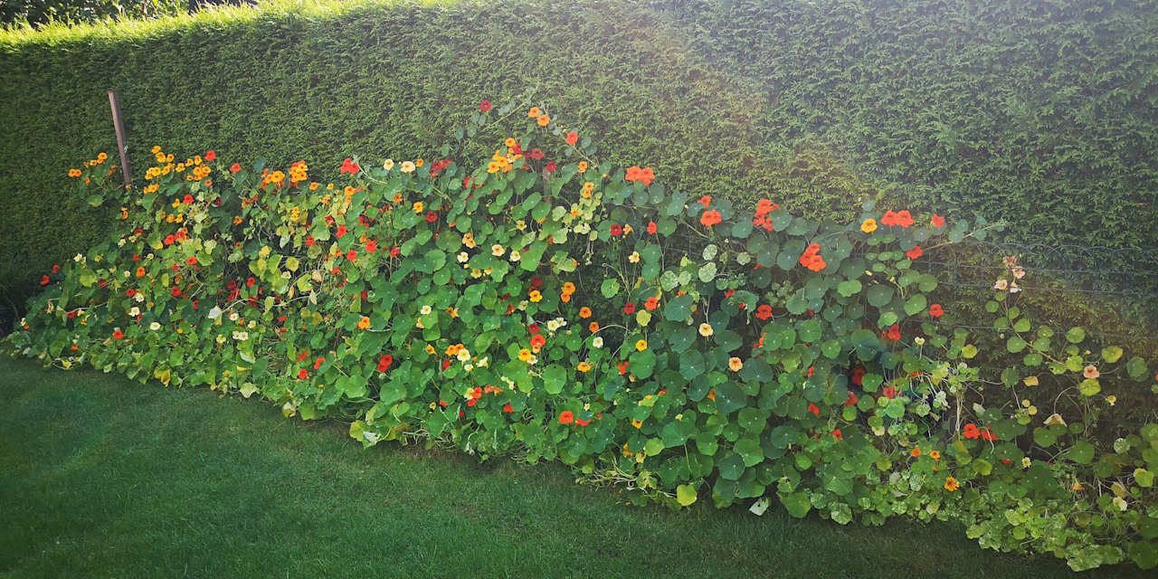 Gartenanlage Landgasthof Redeker