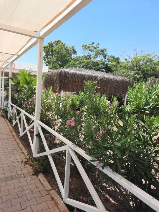 Strand Hane Sun Elite Hotel