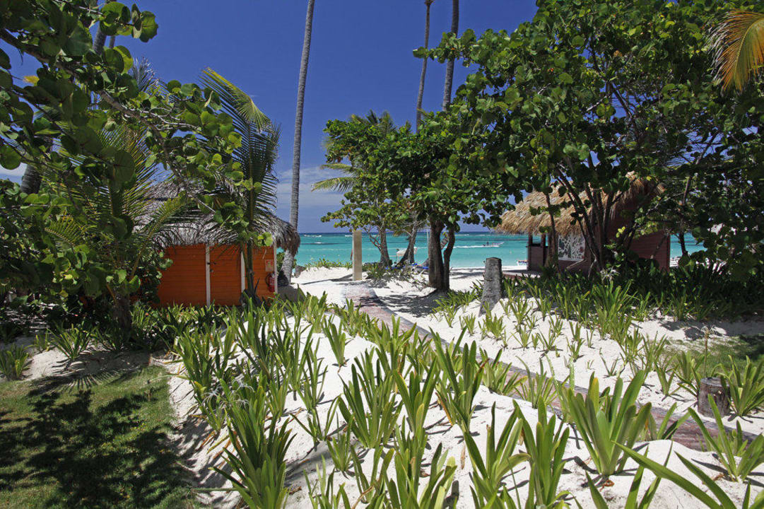 Mein Weg zum Strand Hotel Grand Palladium Palace Resort, Spa & Casino