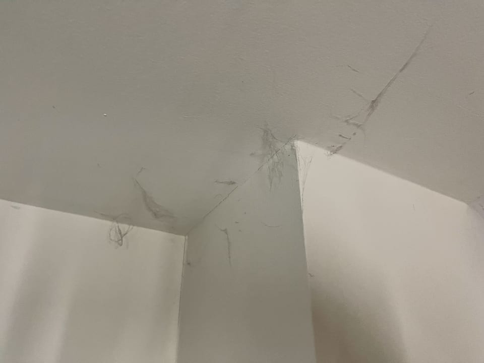 Zimmer Center Parcs Park Allgäu