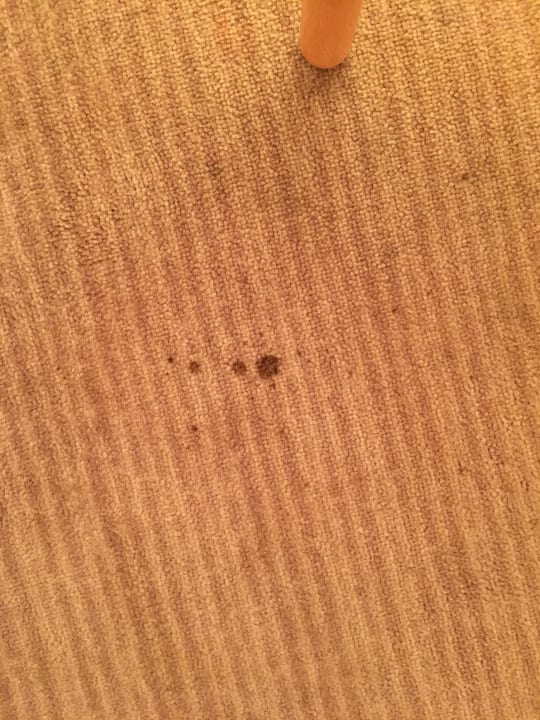 Zimmer Schlosshotel Basthorst