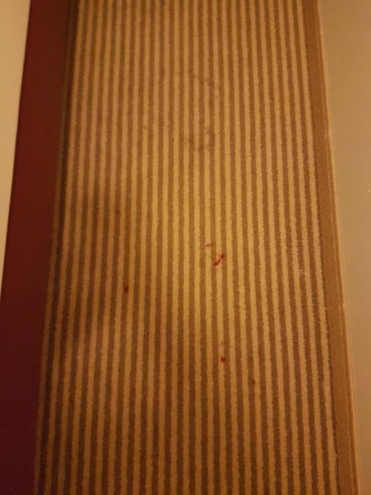 Blutverschmierter Boden acom Hotel München