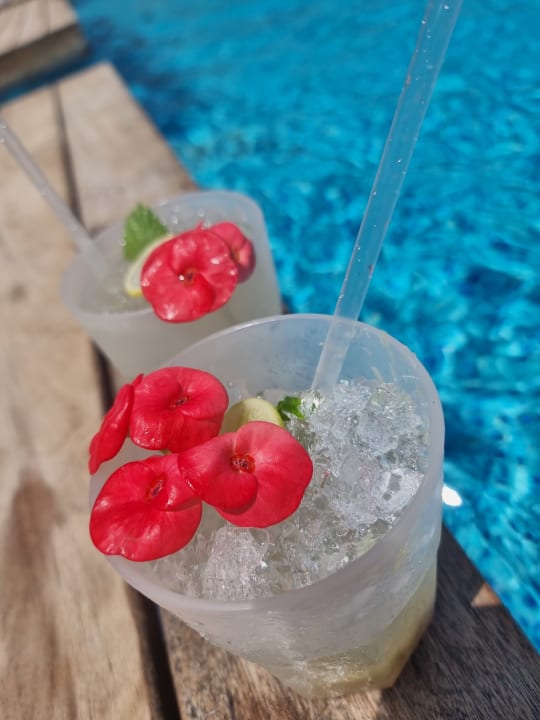 Gastro Steigenberger Resort Ras Soma