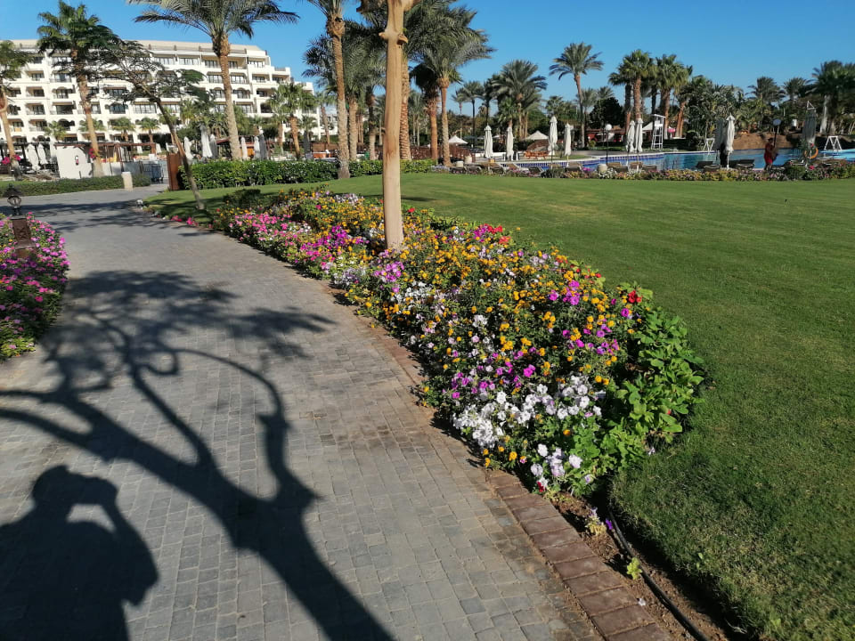 Gartenanlage Steigenberger ALDAU Beach Hotel