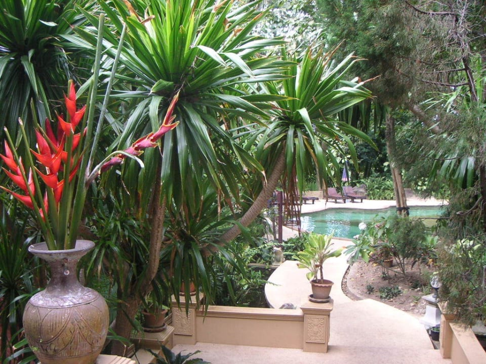 Pool am Haupthaus The Fair House Beach Resort