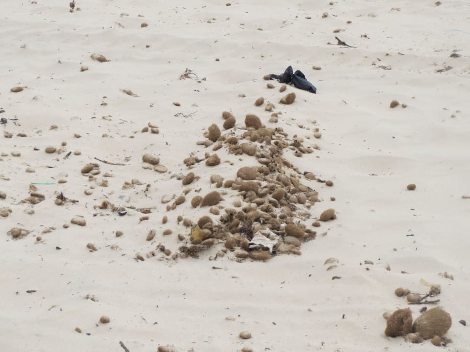 Müllhalde Occidental Marco Polo