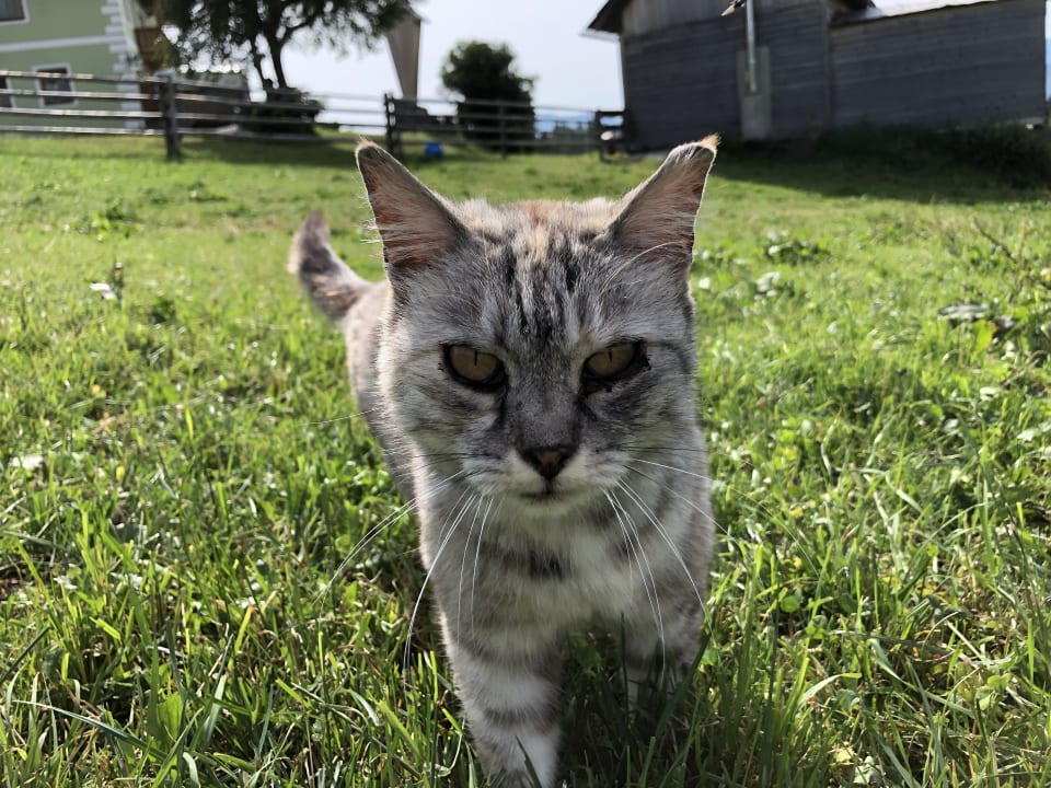 Gartenanlage Praschhof