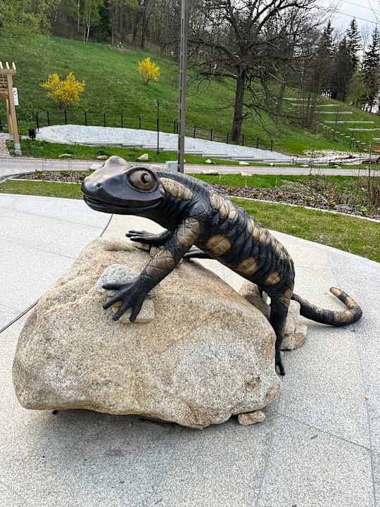 Gartenanlage Klinika Młodości Medical SPA