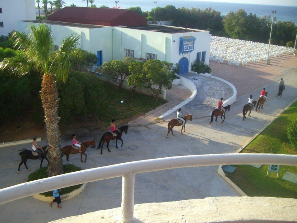 Pferdereiten Sahara Beach Aquapark & Resort