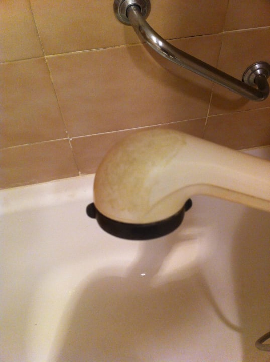 Duschkopf Alcudia Garden Aparthotel