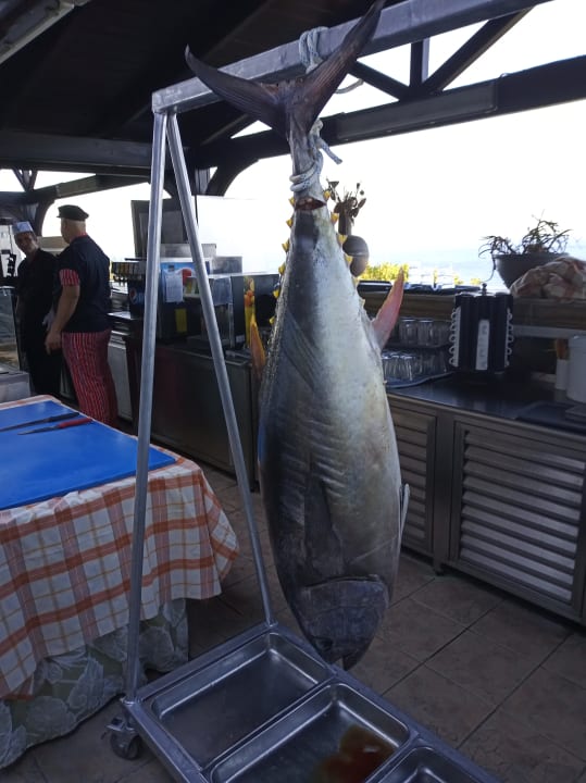 Gastro Hotel Kalithea Horizon Royal