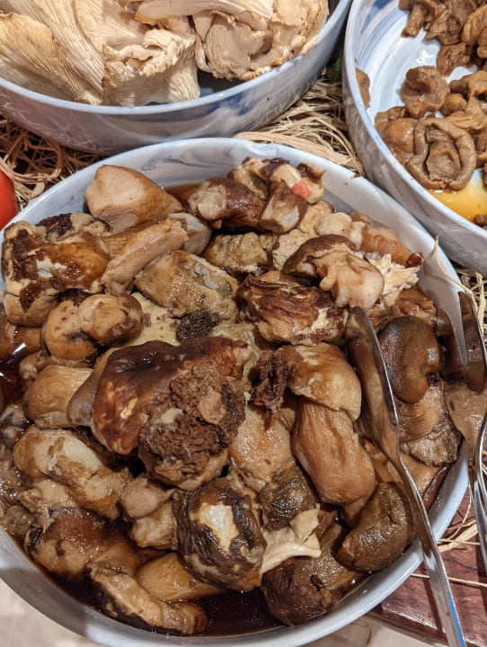 Gastro Acanthus Cennet Barut Collection