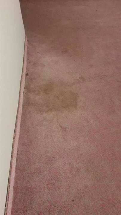 Fußboden Hotel Rosa Beach