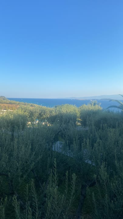 Ausblick Akrathos Beach Hotel