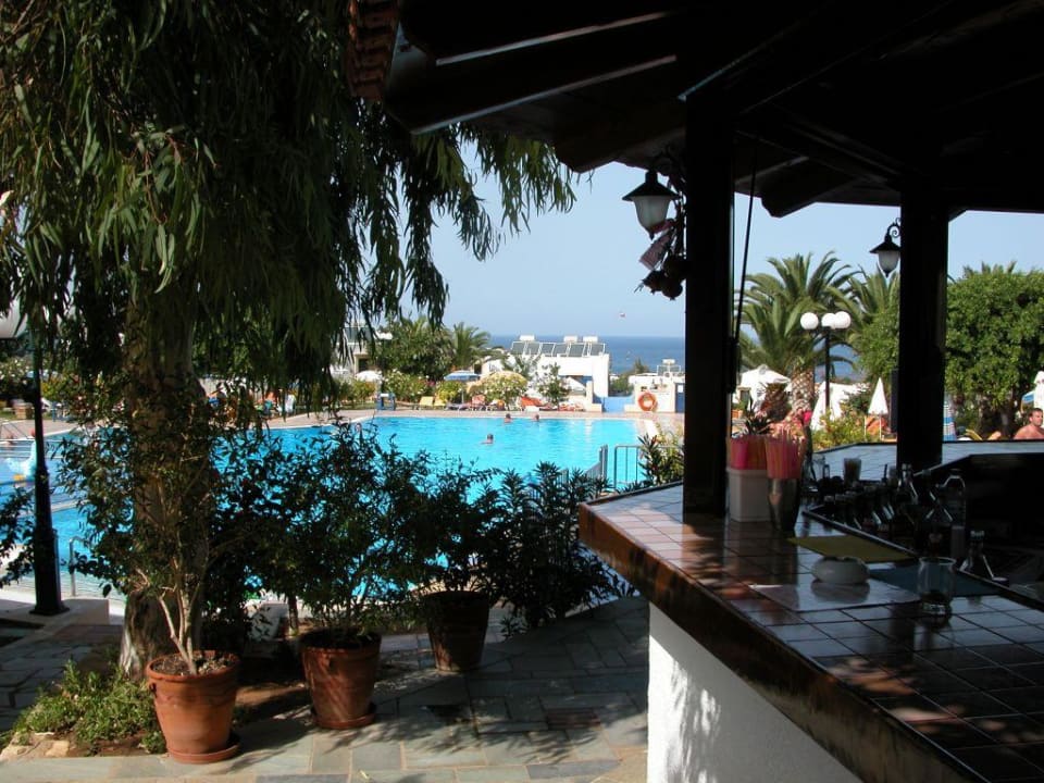 Pool mit Bar TUI SUNEO Chrissi Amoudia