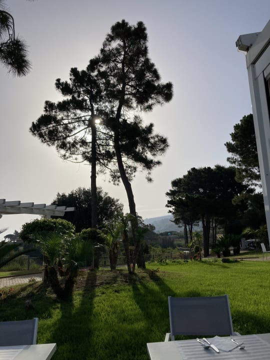 Gartenanlage TUI BLUE Tropea