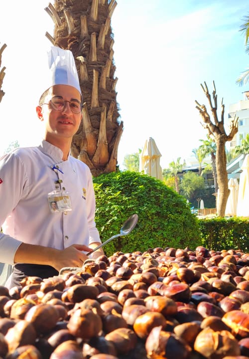 Gastro Hotel Delphin Imperial