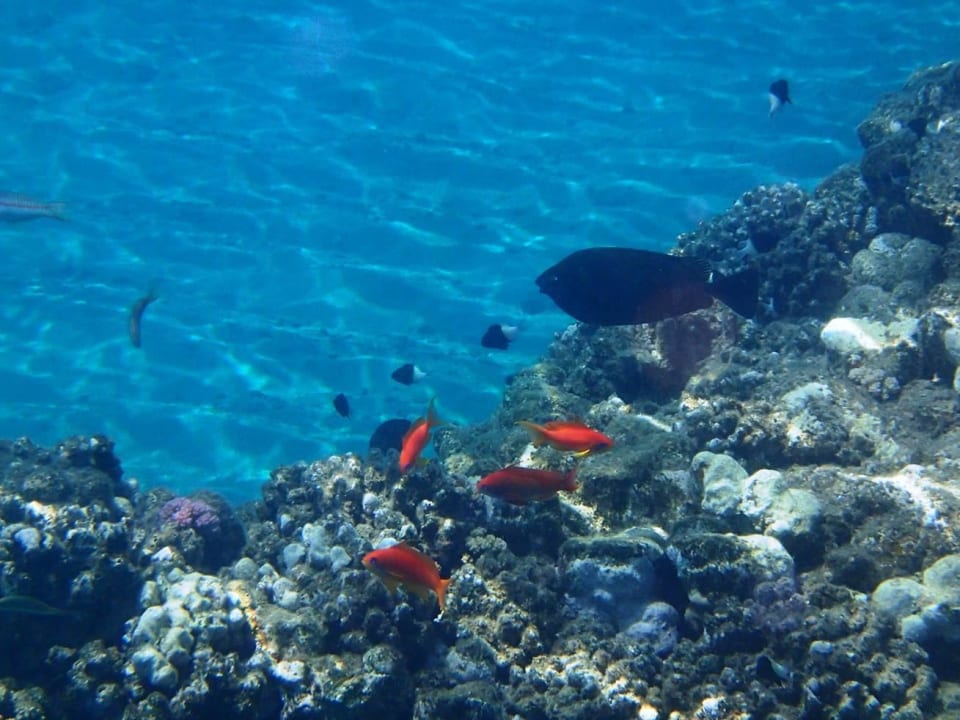 In the sea Three Corners Equinox Beach Resort