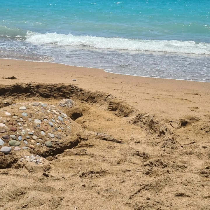 Strand Monachus Family Resort Sorgun