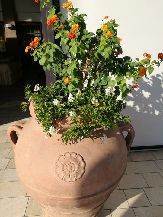 Sonstiges Green Village Resort - Hotel & Aparthotel