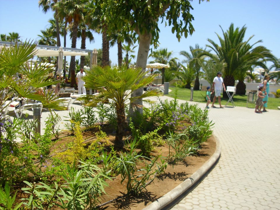 Anlage Hotel Riu Gran Canaria