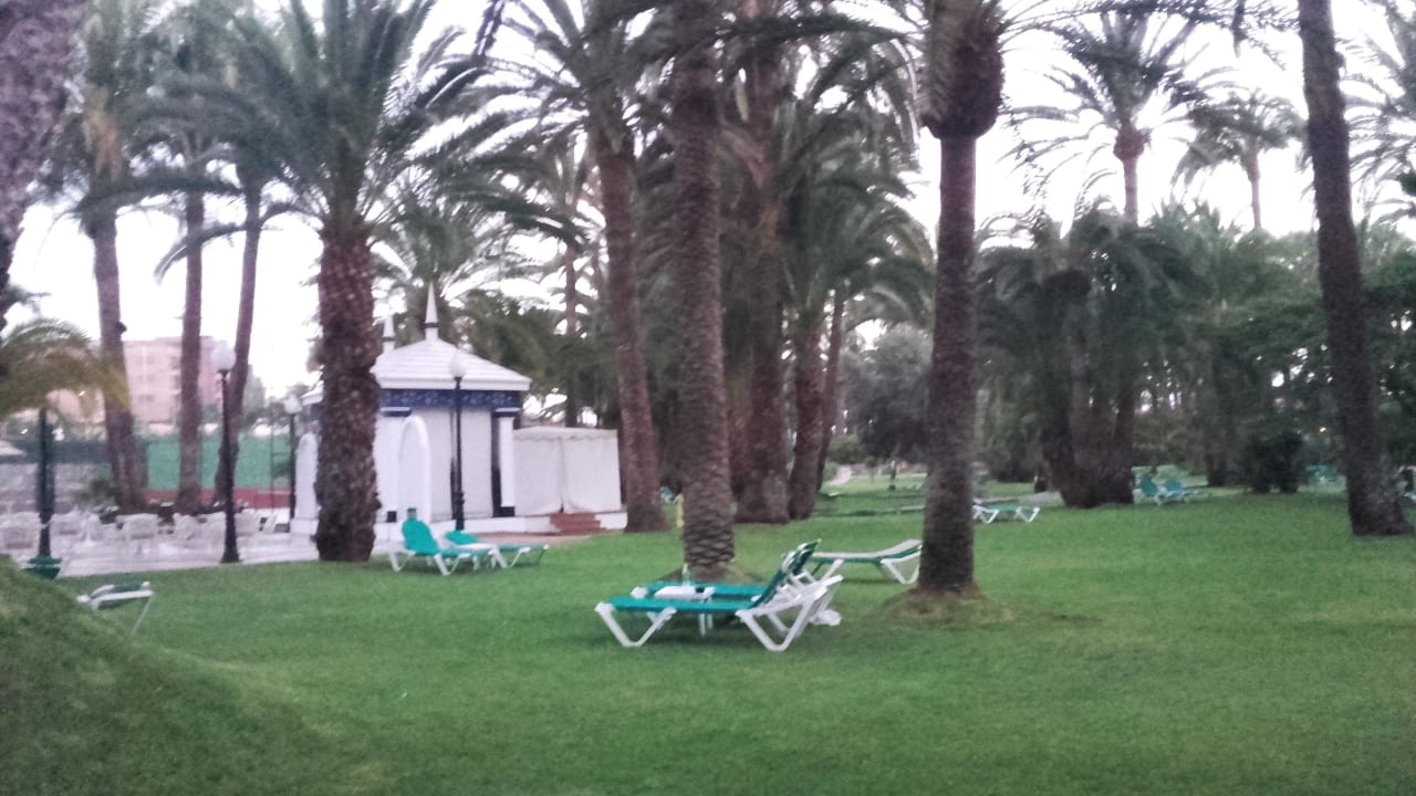 Garten Hotel Riu Palace Oasis