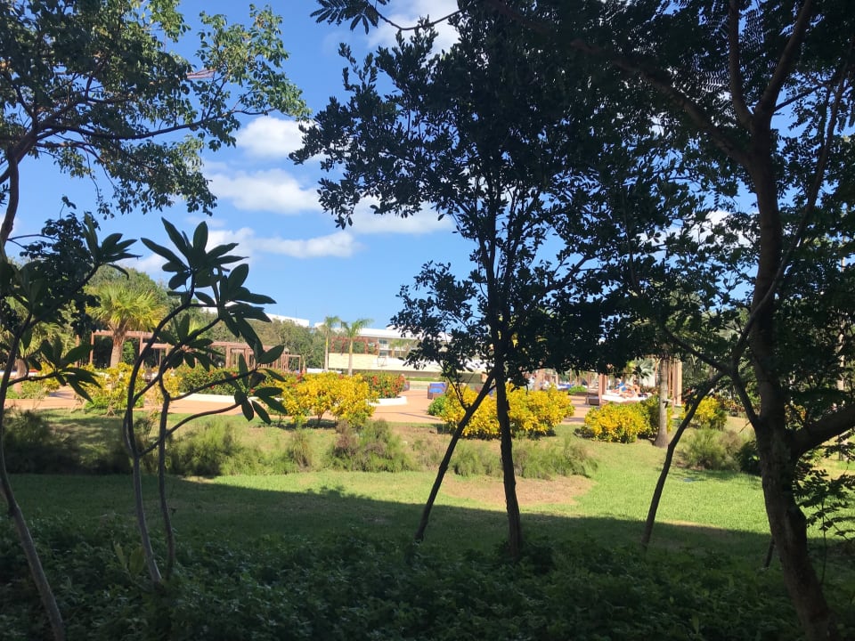 Gartenanlage Playa Vista Azul