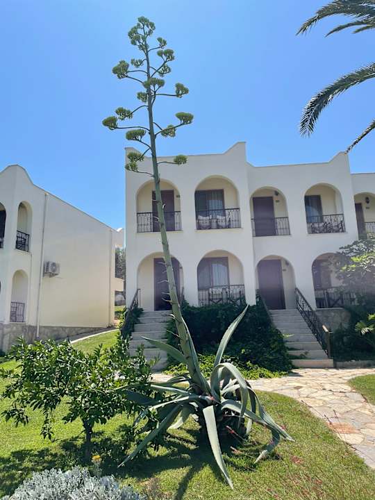 Gartenanlage Club Resort Atlantis